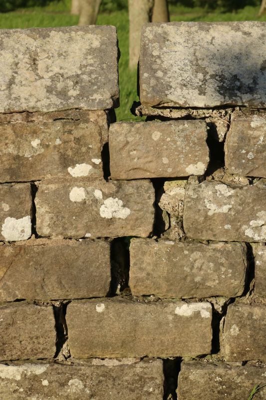 Stone Wall Repair in Bala Cynwyd, PA